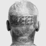 Chris Brown - Addicted || AwaSongs